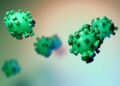 difference between viruses and bacteria