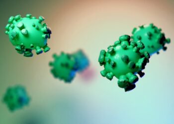 difference between viruses and bacteria