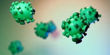difference between viruses and bacteria