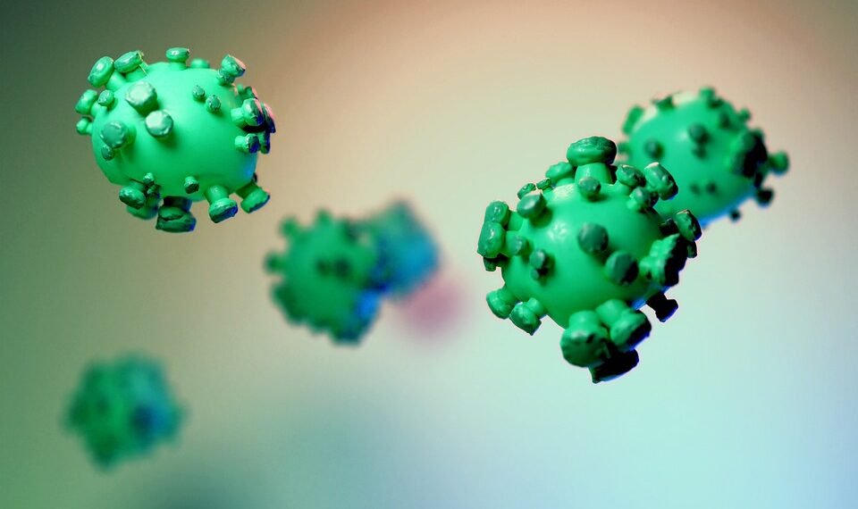 difference between viruses and bacteria