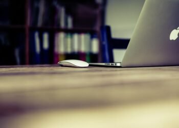 how the human respiratory system works