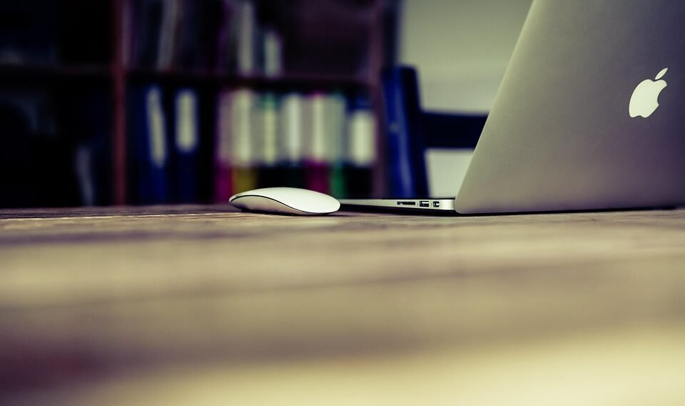 how the human respiratory system works