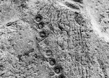 history of british film studios