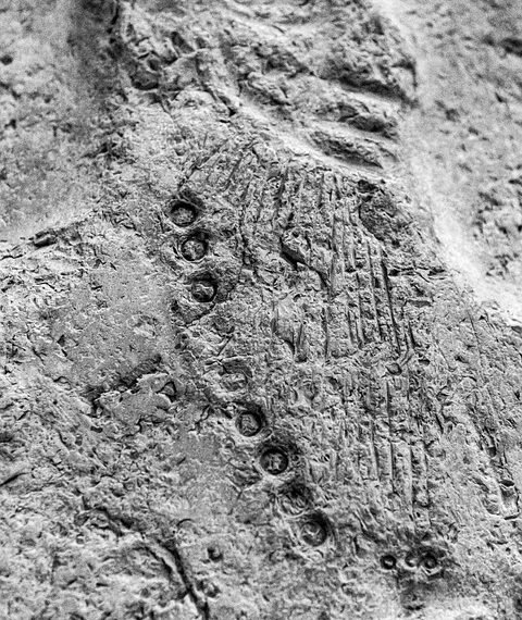 history of british film studios