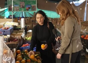 Afghan Community in 'Little Kabul' Faces Pressure to Reaffirm US Loyalty