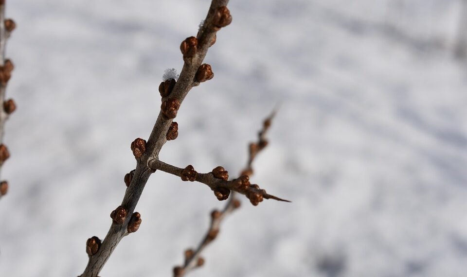 basics of human kidney function