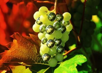 how italian westerns changed the genre