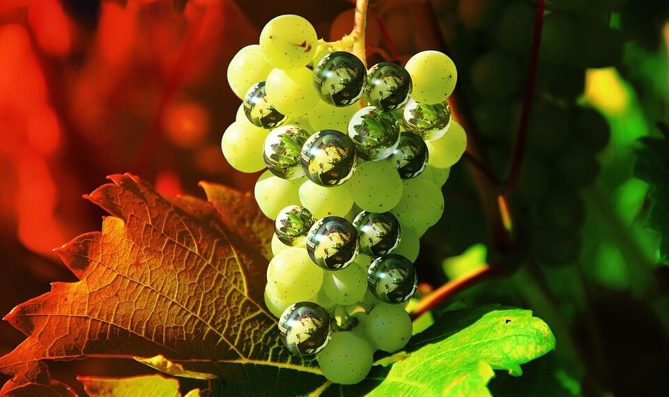 how italian westerns changed the genre