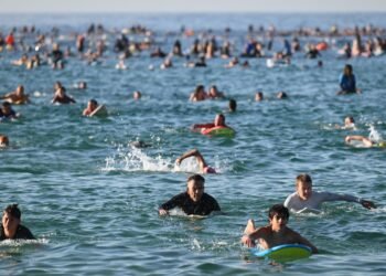 Australia Proposes Gun Buyback Scheme Following Bondi Beach Tragedy