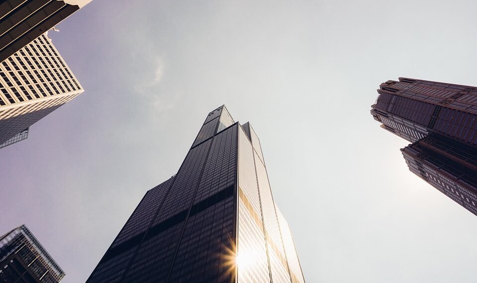 rise of streaming platforms in film distribution