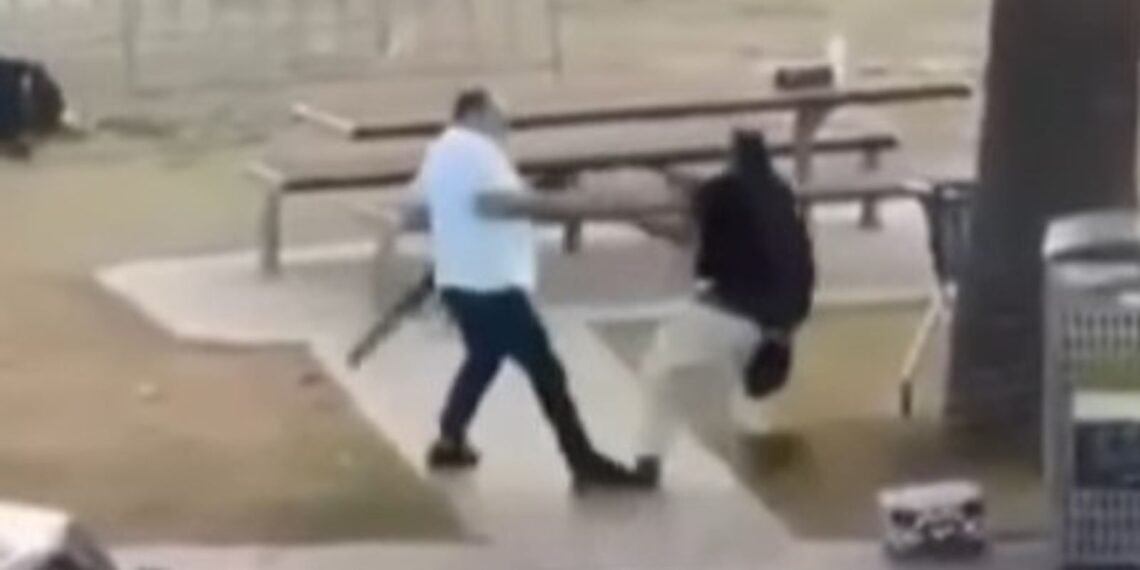 Bondi Beach Gunman Disarmed by Local Fruit Shop Owner in Sydney Heroic Act