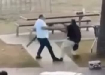 Bondi Beach Gunman Disarmed by Local Fruit Shop Owner in Sydney Heroic Act