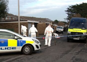 Boy Charged with Murder of Nine-Year-Old Girl: Victim Identified in UK Case