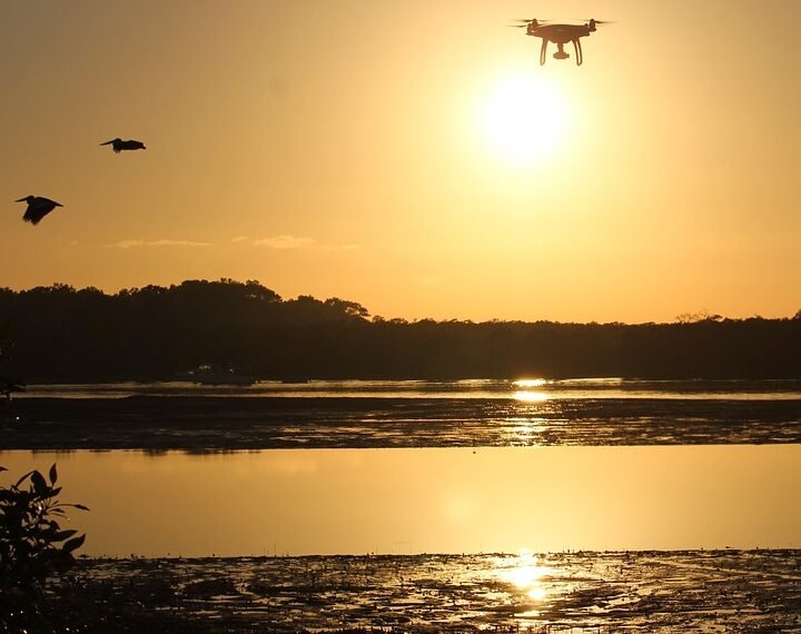 rise of independent films worldwide