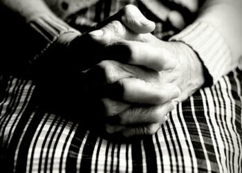 how the human respiratory system works