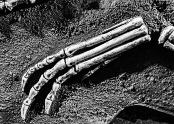 history of british cinema evolution