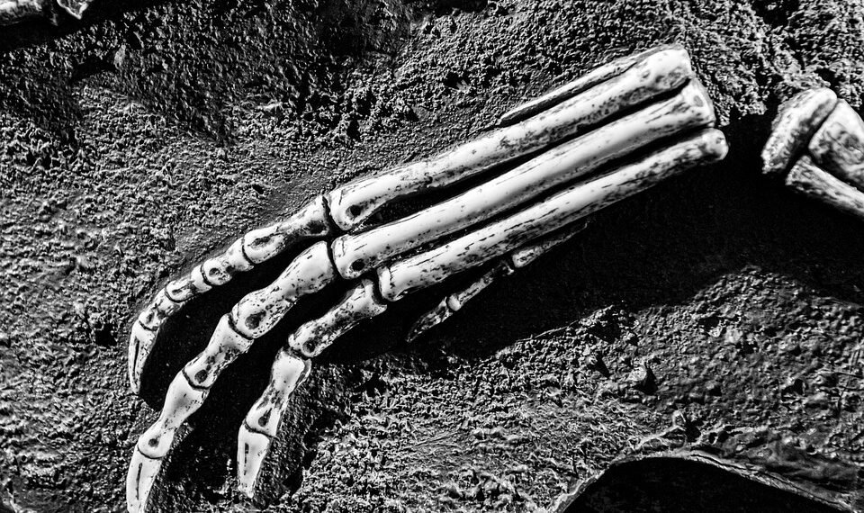 history of british cinema evolution