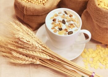 healthy eating habits and nutrition basics