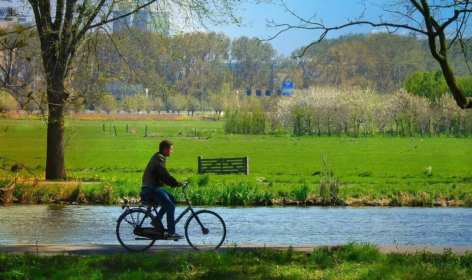 benefits of regular physical activity