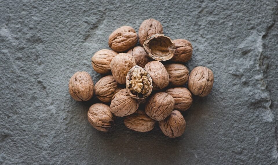 healthy eating habits and nutrition basics