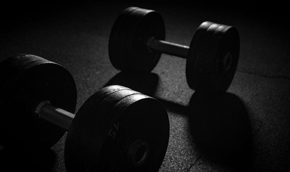 how muscles and bones work together