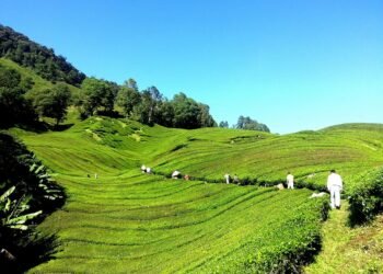 history of james cameron’s blockbuster filmmaking