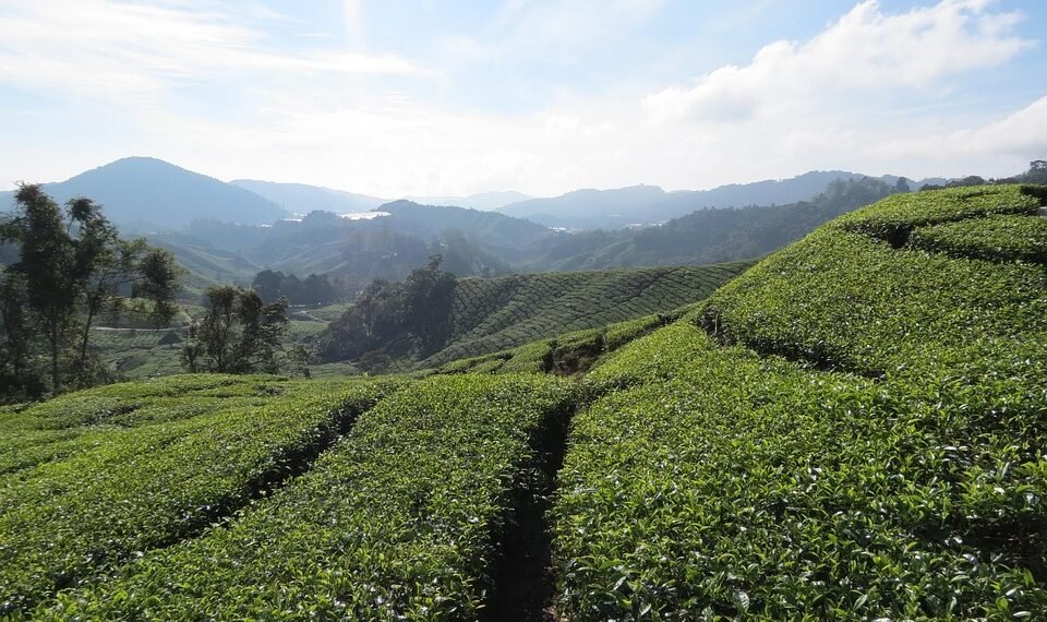 history of james cameron’s blockbuster filmmaking