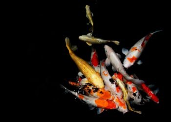 how casting decisions influence character portrayal