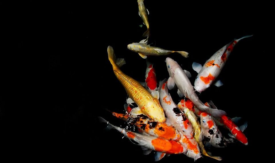 how casting decisions influence character portrayal