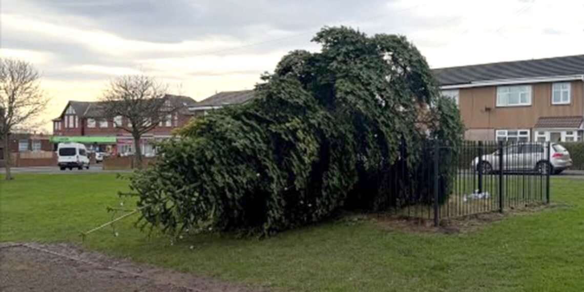 Christmas Tree Cut Down Following Lights Switch-On in Local UK Town