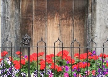 influence of shakespeare on cinema