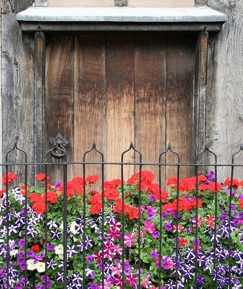 influence of shakespeare on cinema