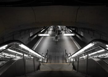 how the cardiovascular system functions