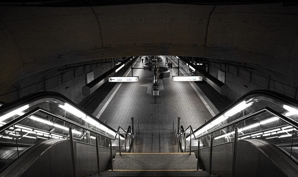 how the cardiovascular system functions