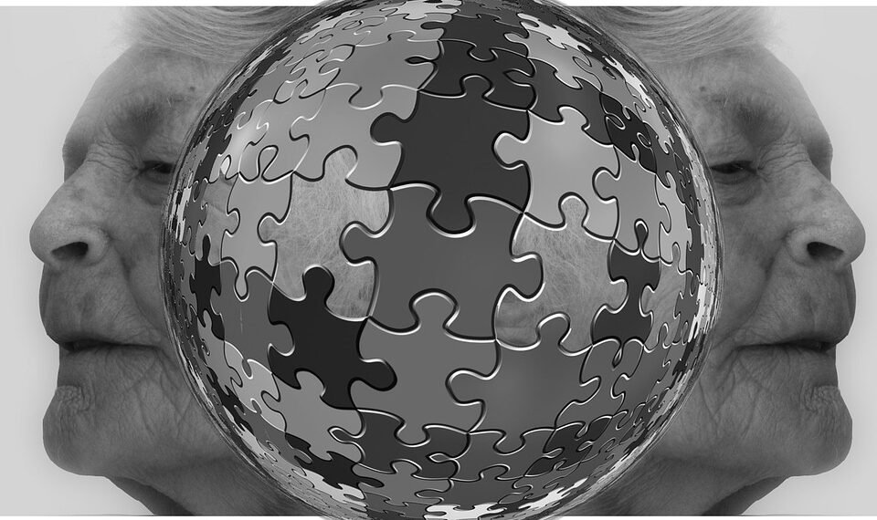 how the human brain processes information