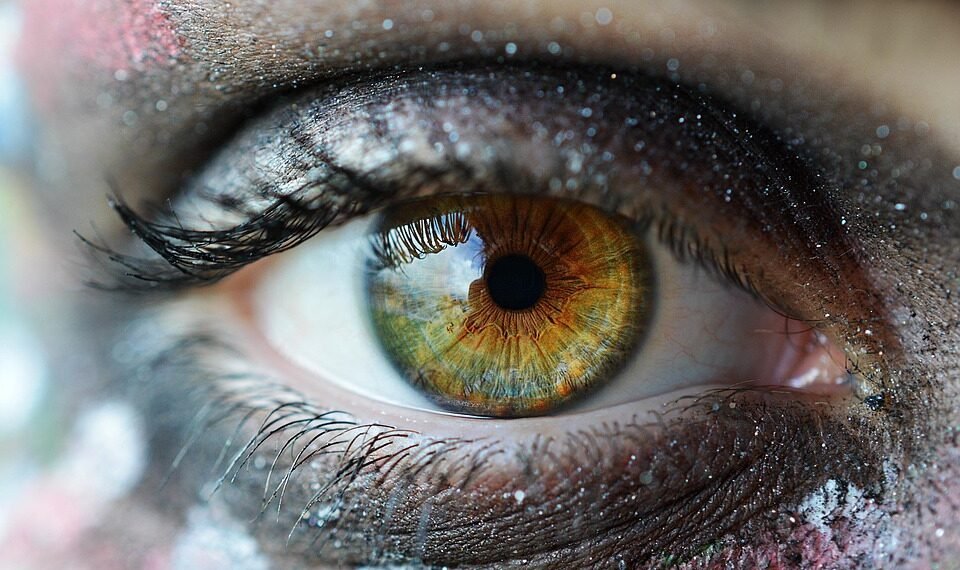 introduction to human digestive system