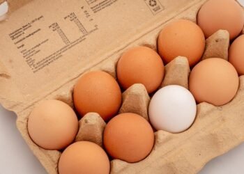 difference between viruses and bacteria