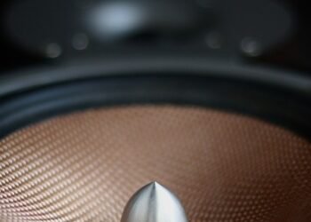 how the cardiovascular system functions