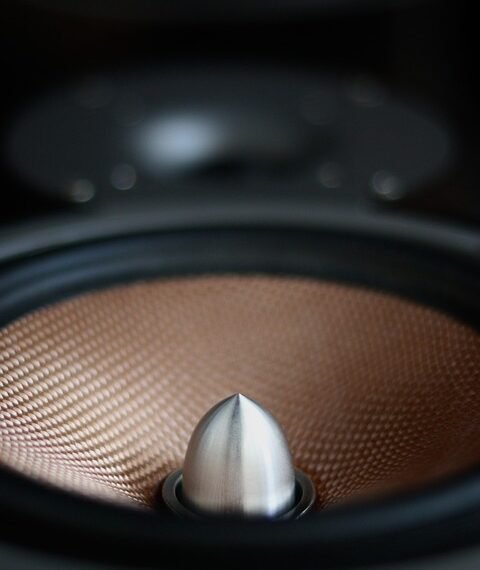 how the cardiovascular system functions