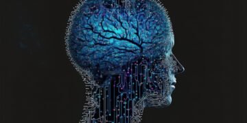 how the human brain processes information