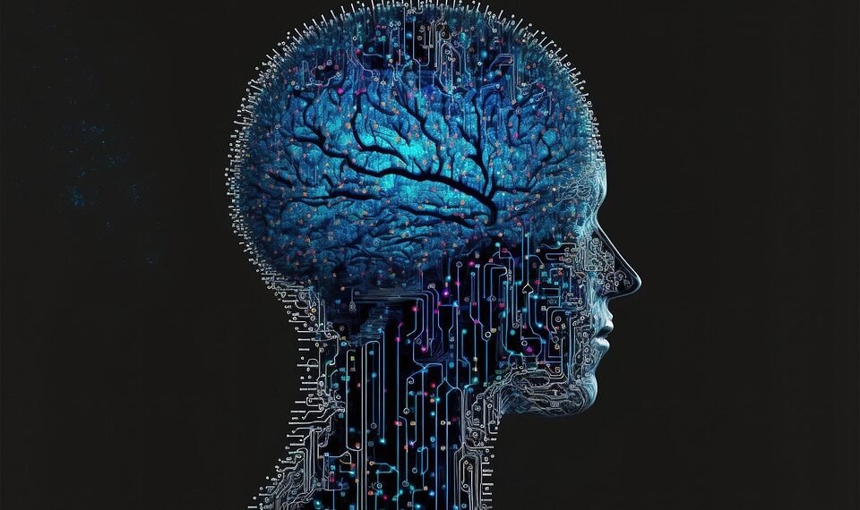 how the human brain processes information