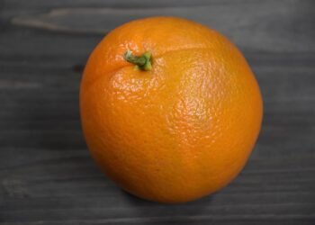 healthy eating habits and nutrition basics