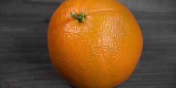 healthy eating habits and nutrition basics