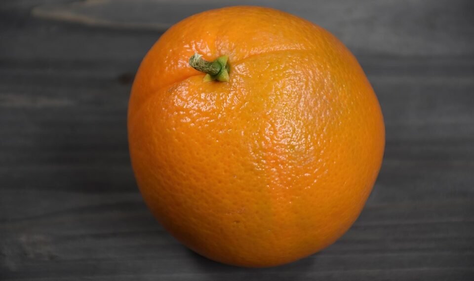 healthy eating habits and nutrition basics