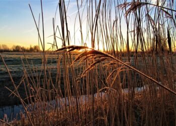 how horror films evolved across decades