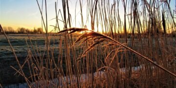 how horror films evolved across decades