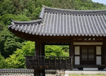 difference between viruses and bacteria