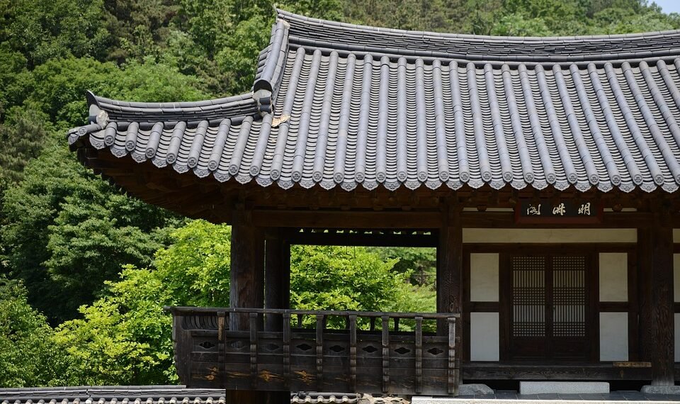 difference between viruses and bacteria