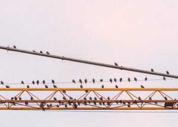 alfred hitchcock contributions to cinema