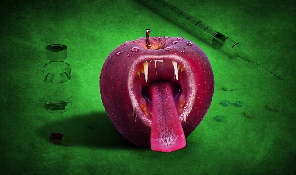 difference between viruses and bacteria